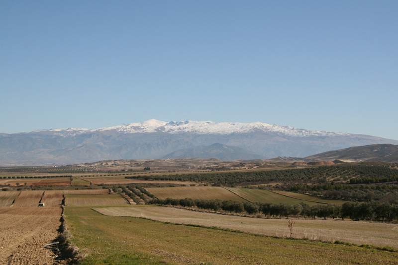 SPANJE 2011 - 417